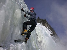 Aventurex