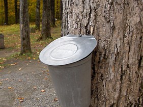Érablière le Chemin du Roy